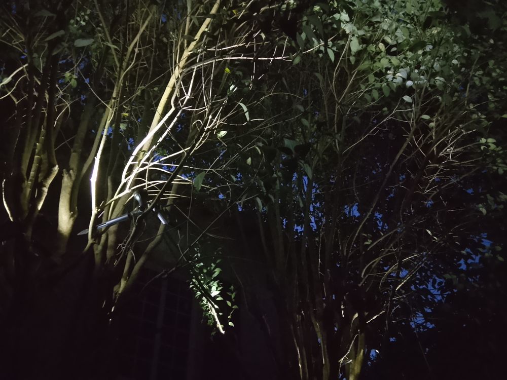 Piquets Solaires 7 Leds 1,6 W lumi&egrave;re blanche Jardin