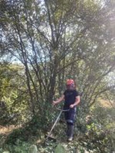   Jardinier et bricoleur en CESU  