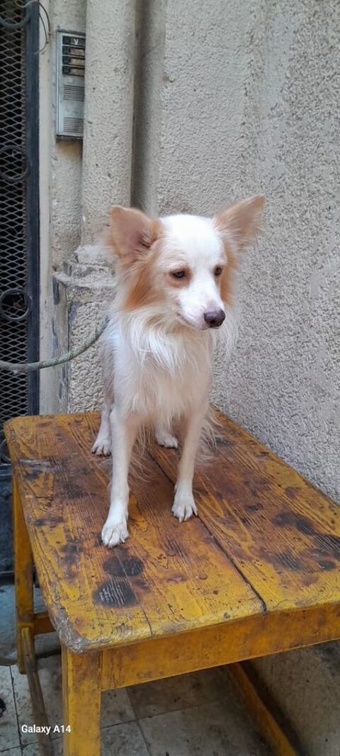 DOUDOU 0 75018 Paris