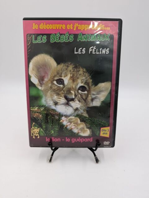 Film DVD Les Bébés Animaux : Les Félins en boite 4 Vulbens (74)
