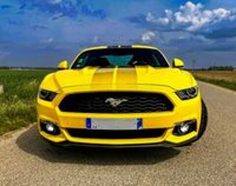 Mustang Fastback 2.3 EcoBoost 317 2016 occasion 26800 Portes-l&egrave;s-Valence