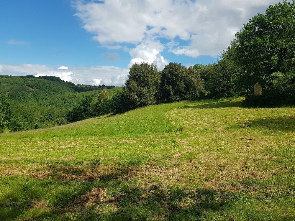 Vente Maison Propriété de 24 hectares avec 2 maisons Orliaguet