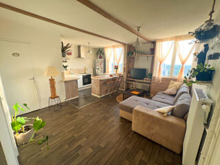  Appartement � vendre 2/3 pi�ces 53 m�