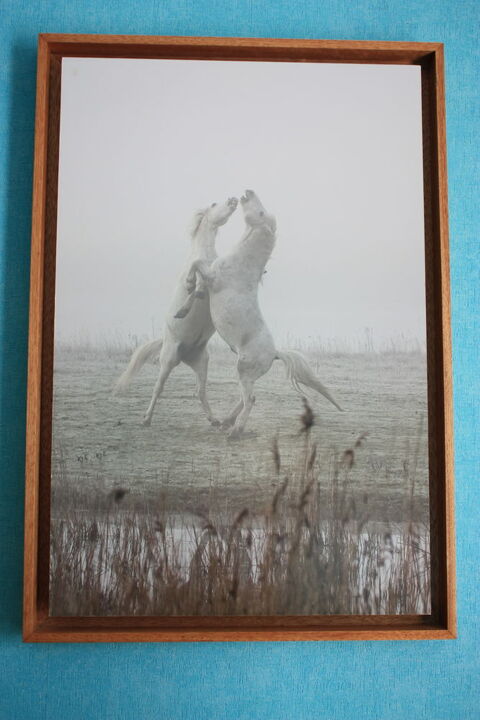 cadre avec photo de chavaux dans la brume 40 Le Havre (76)
