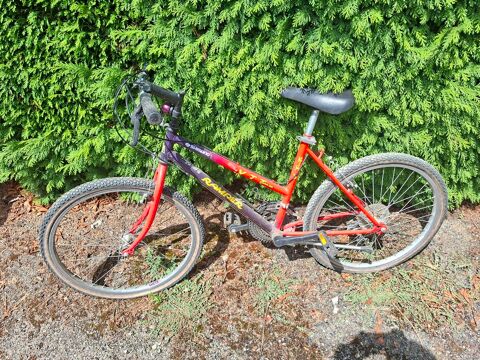 Lot de 2 vélos VTT enfant, vendus ensemble ou séparément 40 Rignac (12)