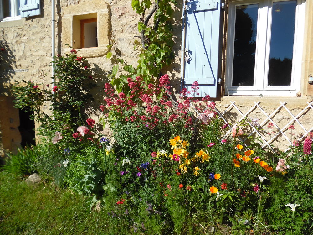 Vente Maison MAISON EN PIERRES APPARENTES SANS VIS A VIS SAONE ET LOIRE Anglure-sous-dun