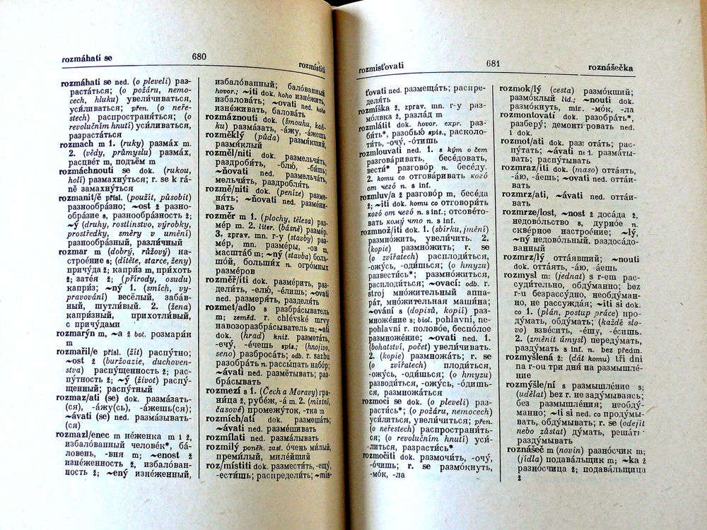 Dictionnaire Tch&egrave;que ? Russe Livres et BD