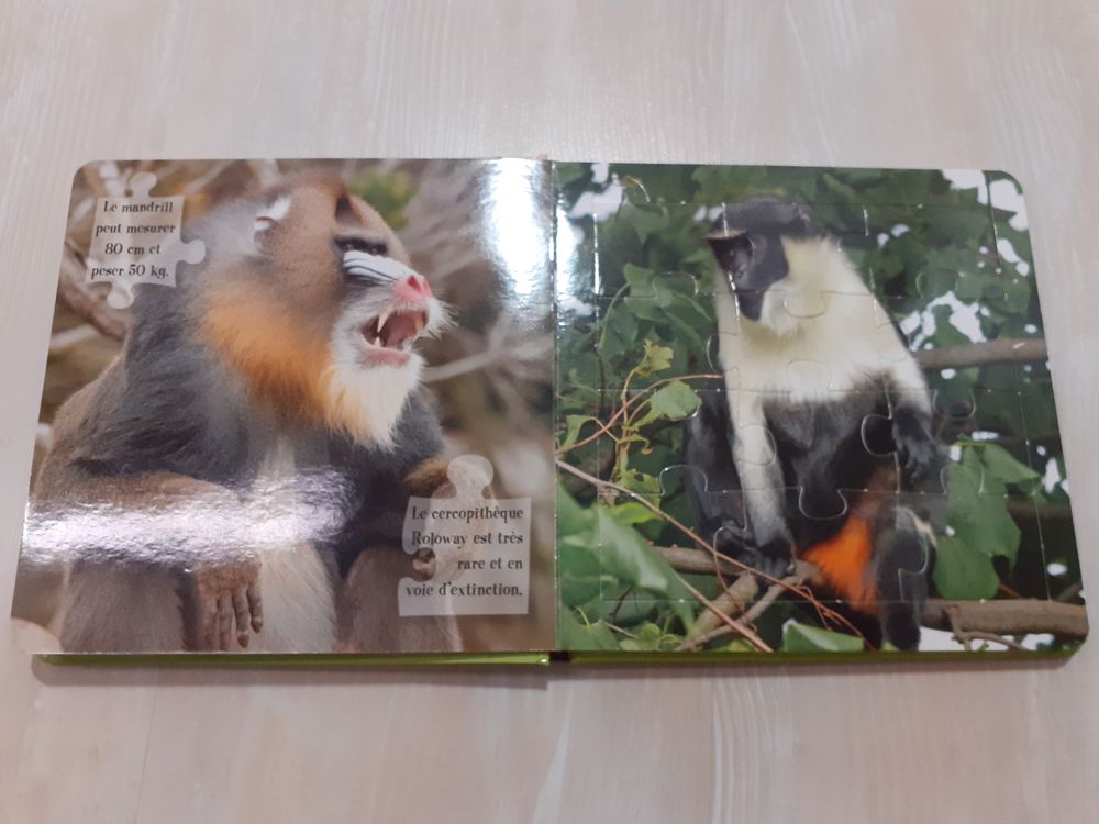 Livre Puzzle &quot;Les Singes&quot; &agrave; 3,50 : 5 puzzles de 12 pi&egrave;ces Jeux / jouets