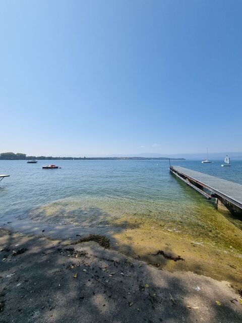  Appartement � louer 2 pi�ces 27 m� Sciez