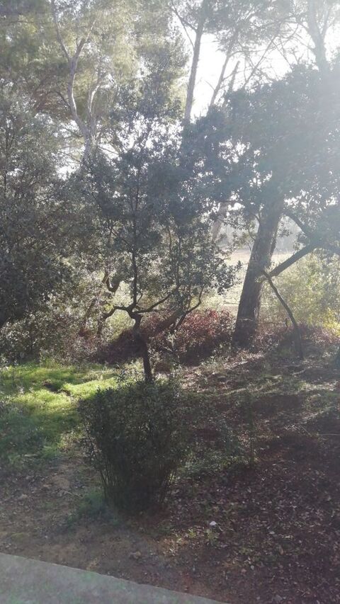   Rdc de maison au c?ur de pin�de sauvage Maison - 2 pi�ce(s) - 63 m�