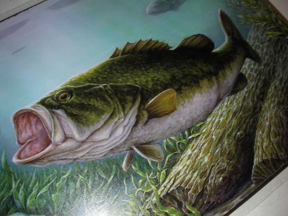 Plaque d&eacute;corative "BLACK-BASS" pas moulinet. Sports