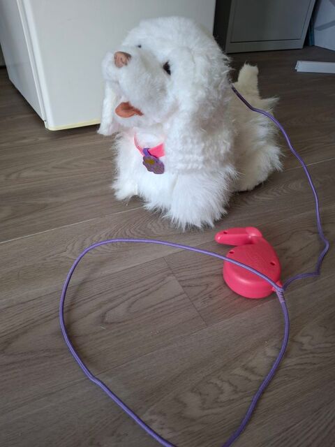 Petit chien robot 20 Tagnon (08)