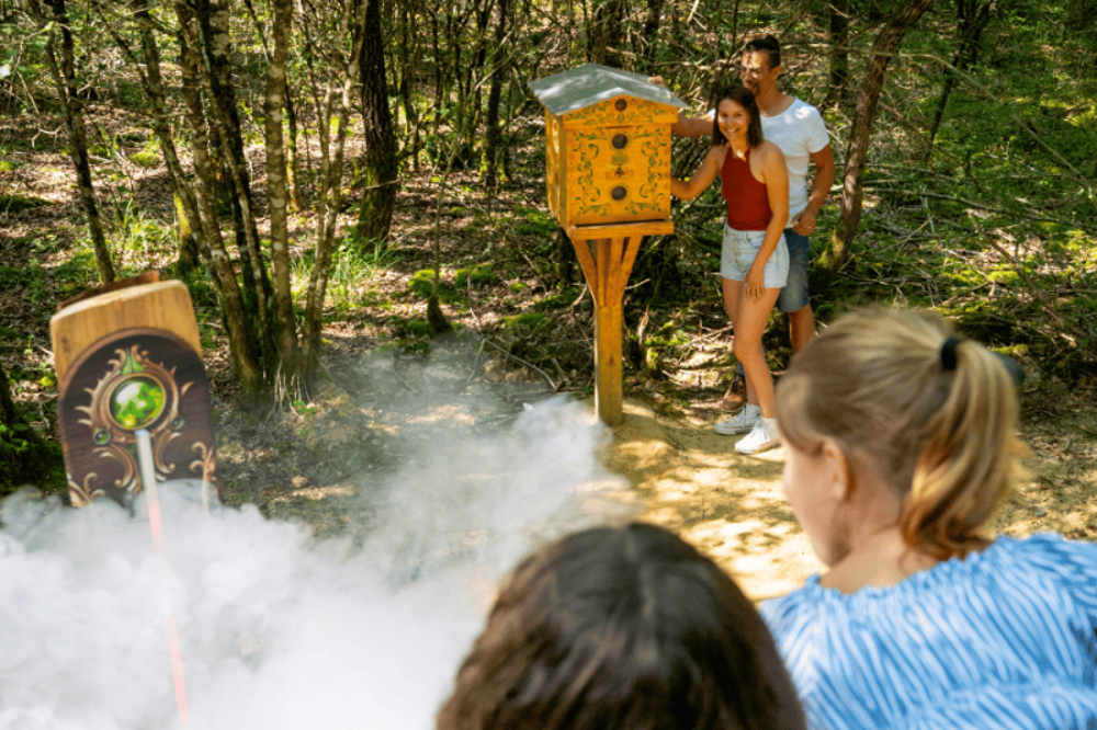 PASS 4 parcs Vall&eacute;e Singes Cormenier Parc Belle, D&eacute;fiPlanet' Billetterie