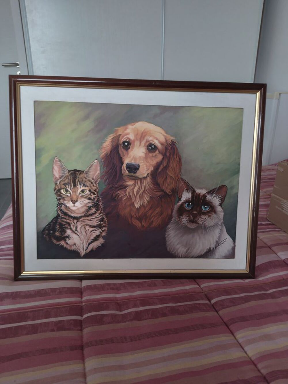 un lot de cadres avec photo ou &agrave; l'unit&eacute; : Décoration