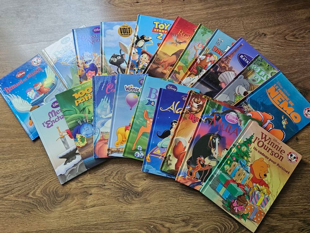 livres disney Jeux / jouets