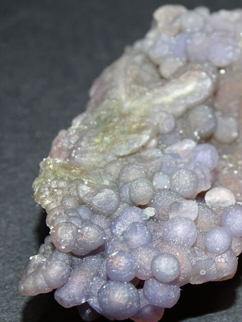 Calc�doine botryo�dale  Grappe Agate  Mamuju Area Indon�sie 12 Moyenmoutier (88)