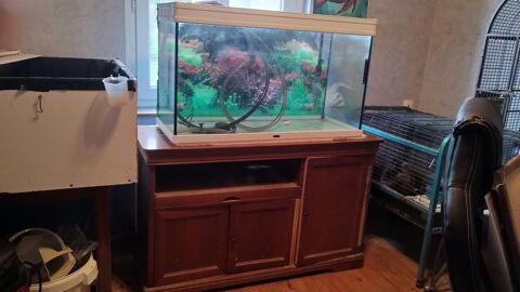 Aquarium tout &eacute;quip&eacute; avec meuble 240l 240 02700 Fri�res-faillou�l