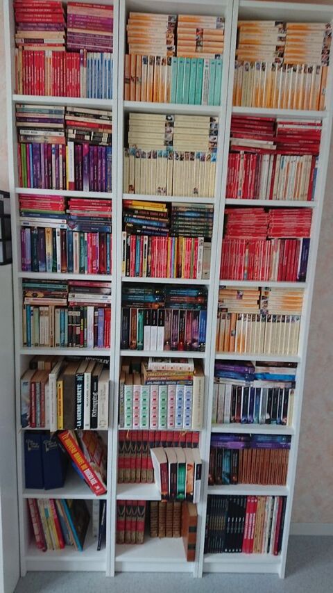 livres 1 Chavagnes-en-Paillers (85)