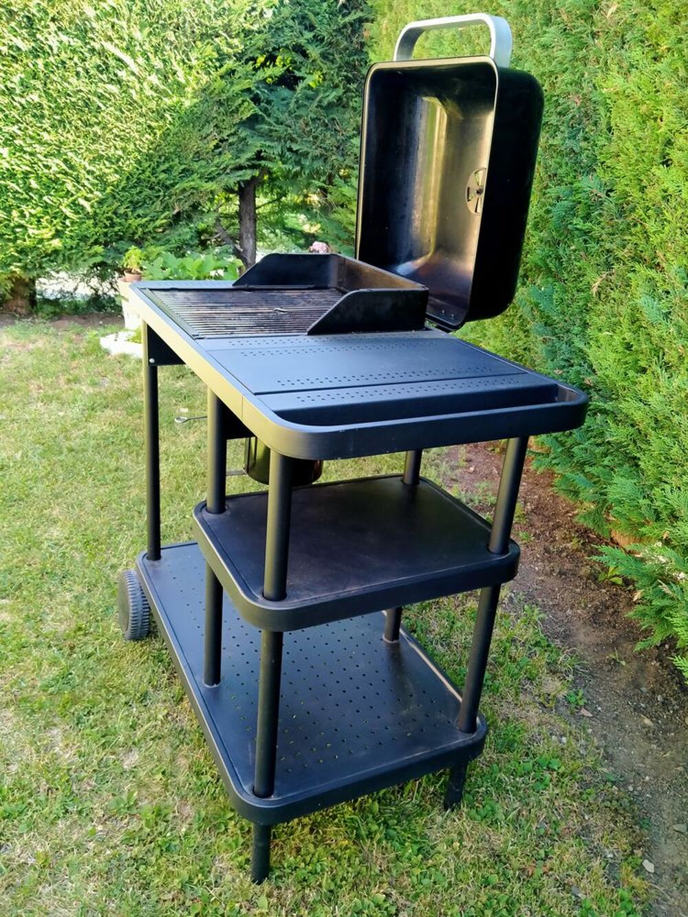 Barbecue Jardin