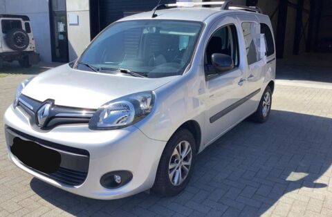 Renault Kangoo TCE 115 Energy Limited 2014 occasion Saint-Jean-de-Soudain 38110