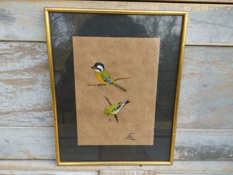Tableau Ornithologie Oiseau Falconelle � Casque Sign� Yvone 45 Loches (37)