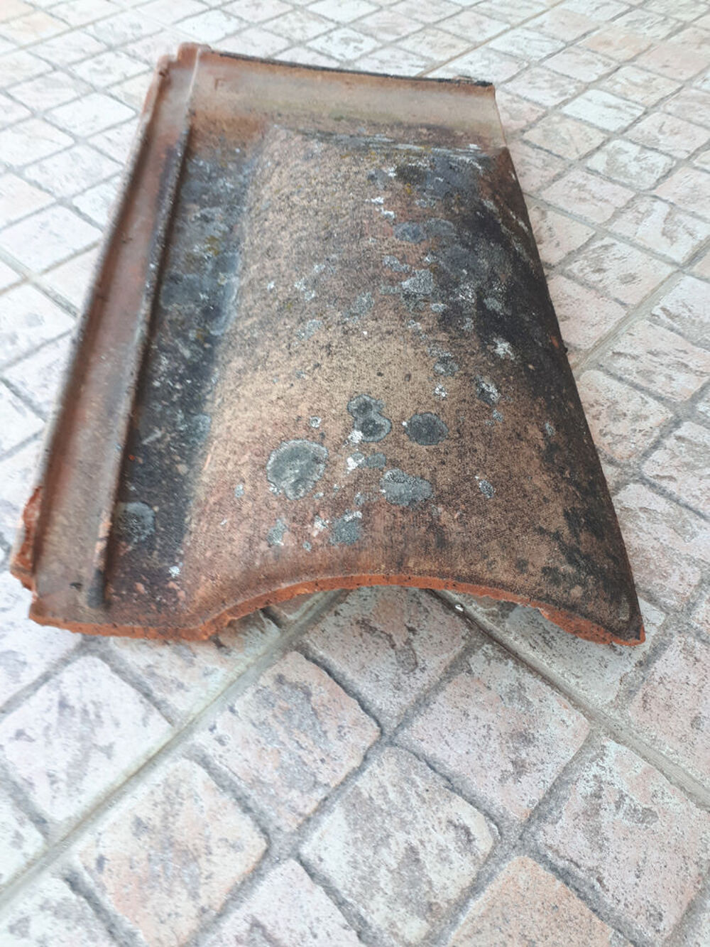 Recherche tuiles Roman&eacute;e Lambert Bricolage