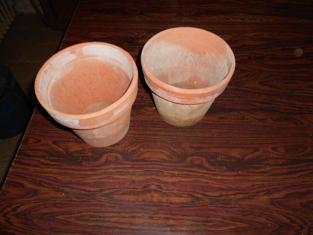 4 POTS EN TERRE CUITE Jardin
