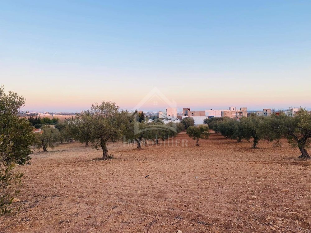 Vente Terrain Terrain de 4018 m² à 200 dt/m² à Hammamet Sud Hammamet sud, tunisia (Tunisie)
