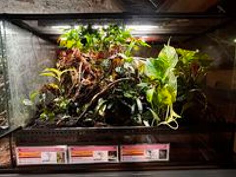   Terrarium exo terra 90/45/60 