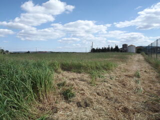  Terrain à vendre 1277 m²