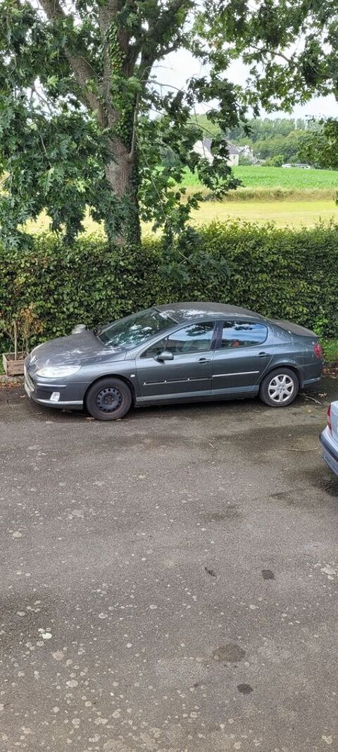 Peugeot 407 2.0 HDi 16V 136ch FAP Confort Pack