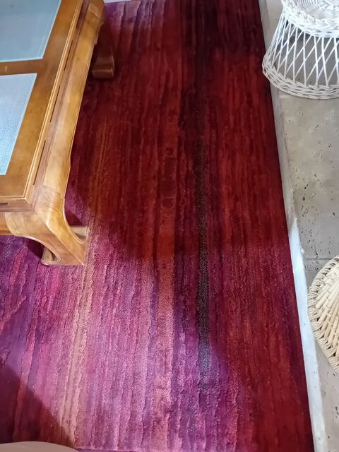 Tapis rouge d�grad� 2mx3m saint maclou 39 Bo� (47)