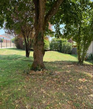  Colocation � louer 7 pi�ces 180 m�
