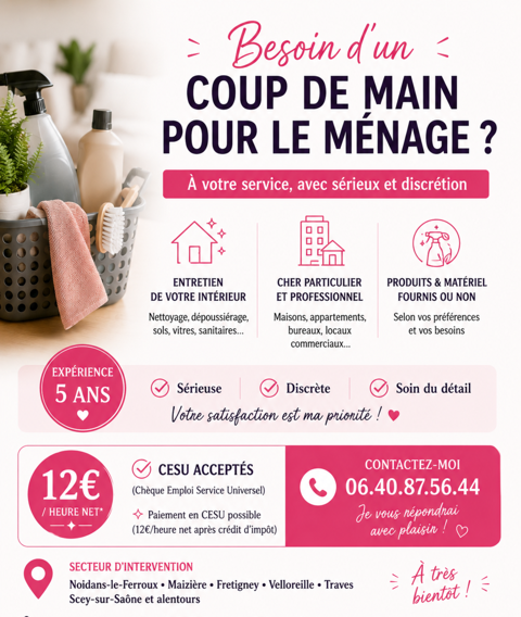 Besoin d'un coup de main pour le m&eacute;nage ? ? 0 70130 Noidans-le-ferroux
