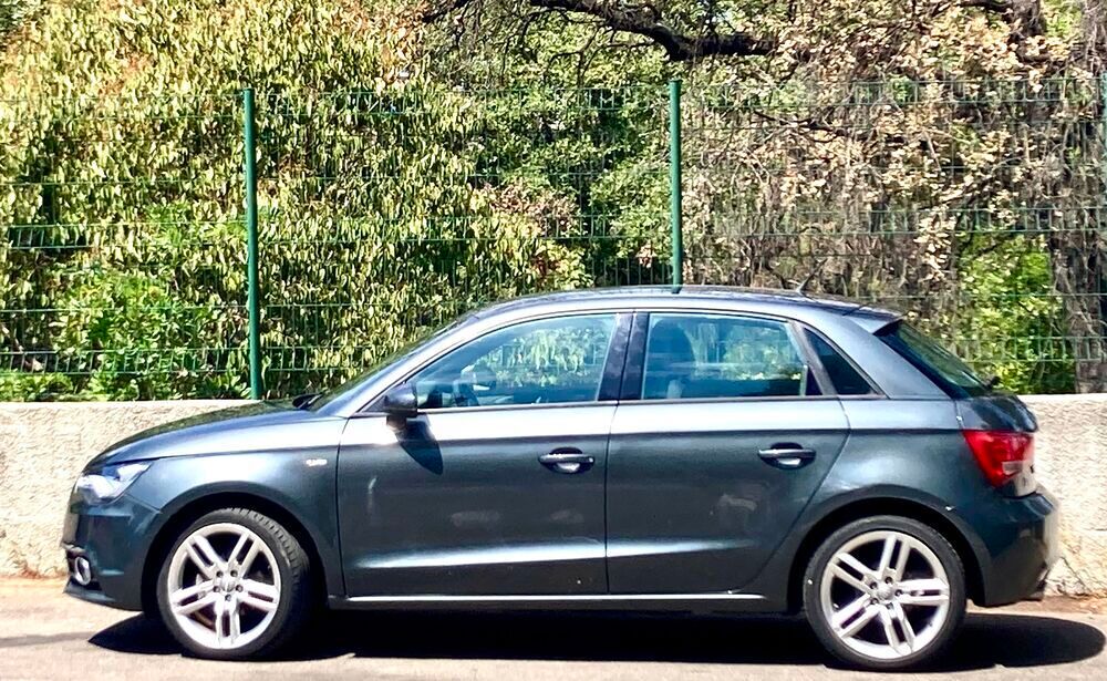 A1 1.4 TDI 90 S tronic S line 2014 occasion 13009 Marseille