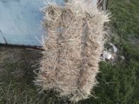   Foin 