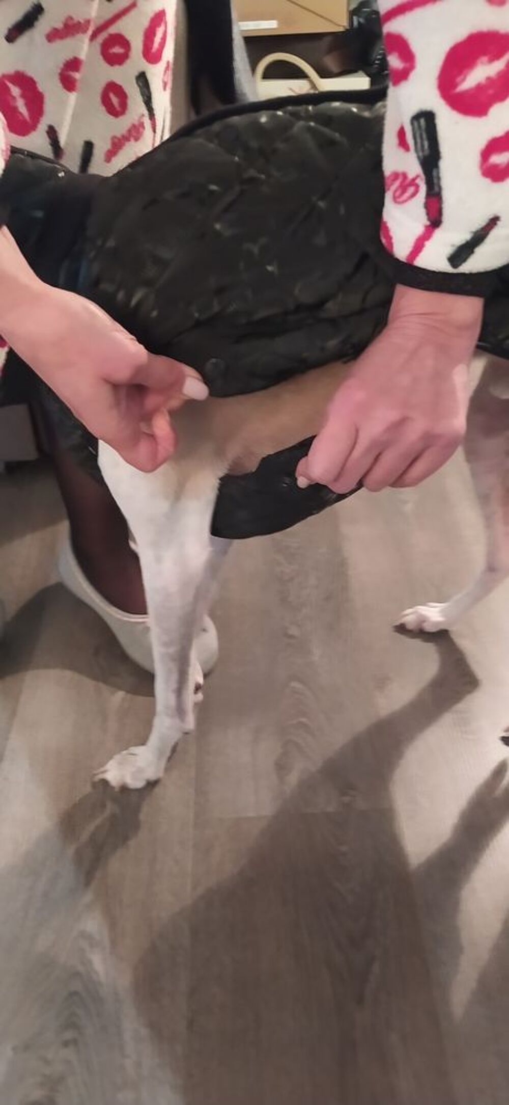 Manteau pour Chien Motif imprim&eacute; Noir Vêtements