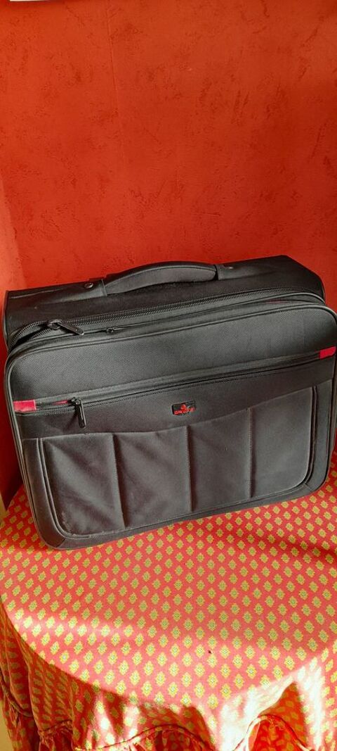 Valise trolley professionnel 20 Mons-en-Bar�ul (59)