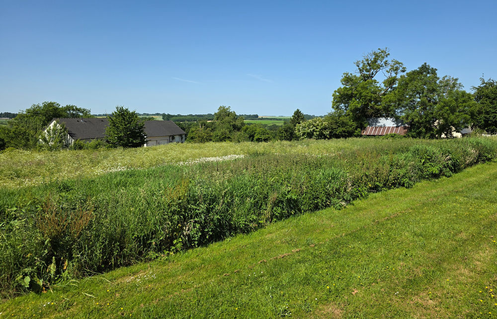 Vente Terrain PROXIMITE HERICOURT EN CAUX, TERRAIN A BATIR 2.538 m2 Veauville-lès-quelles