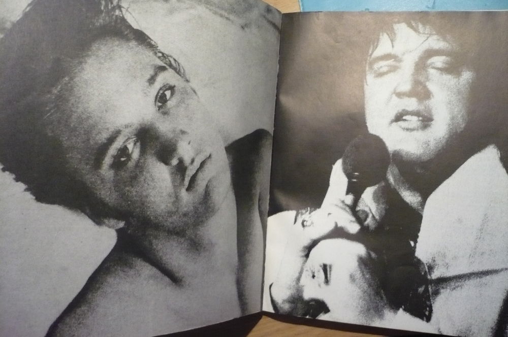 ELVIS PRESLEY ? ART ILLUSTRATED BIOGRAPHY - A Biography by Livres et BD