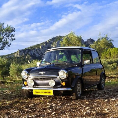 Mini Cooper 1.3 i 1992 occasion Eygalières 13810