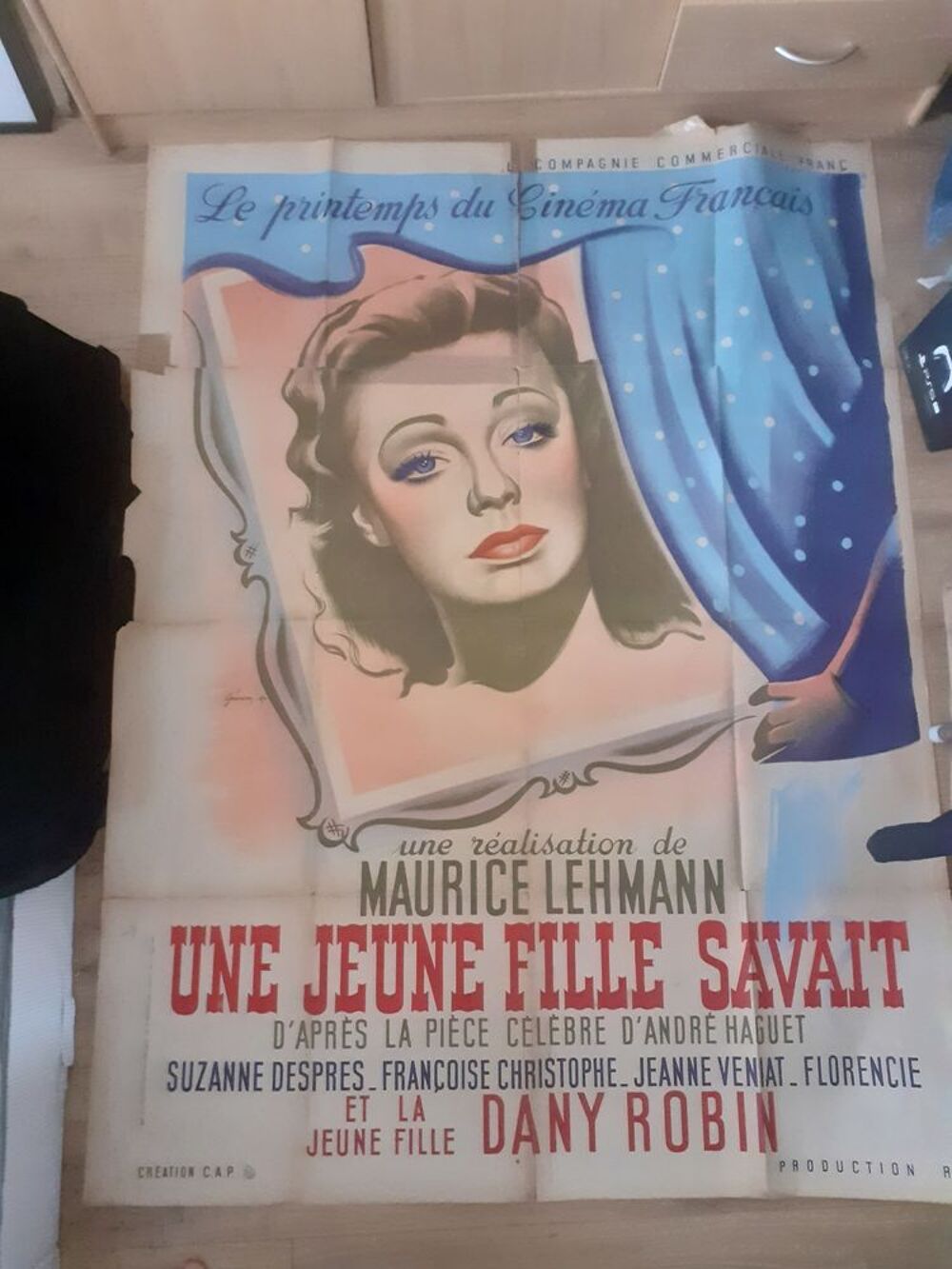 AFFICHES DE FILMS 
