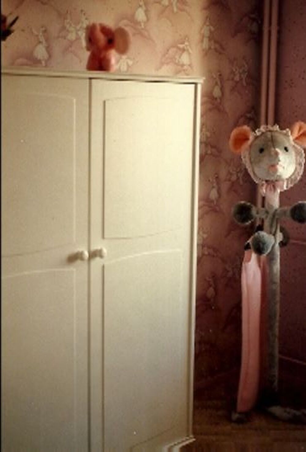 Armoire de b&eacute;b&eacute; Mobilier enfants