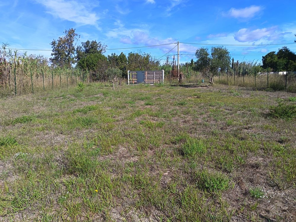 Vente Terrain Terrain agricole Rivesaltes
