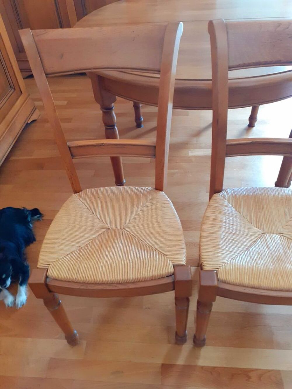 chaises Meubles