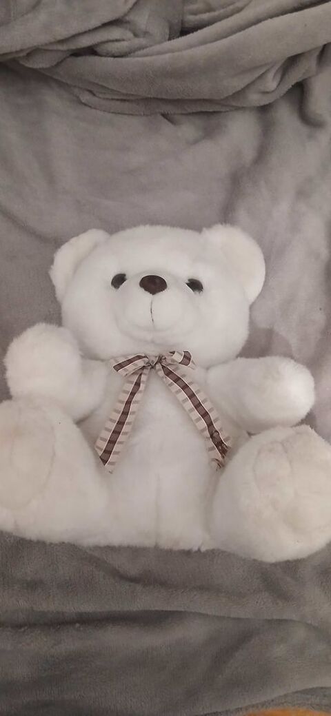 Vous++nounours 10 Tourcoing (59)