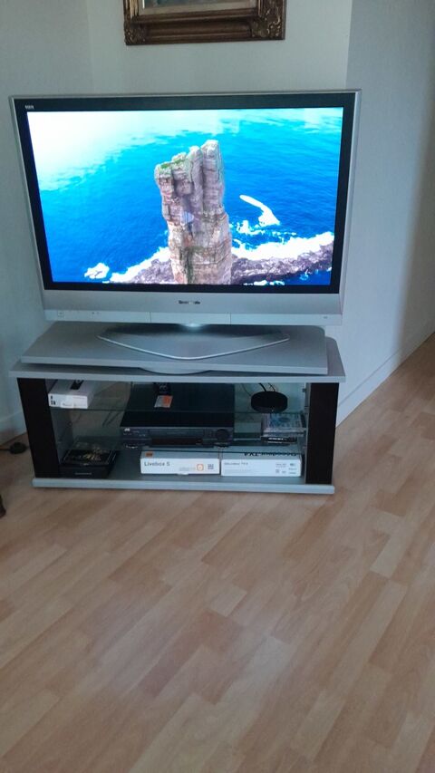 T�l�viseur plat avec meuble TV panasonic 0 La Rochelle (17)