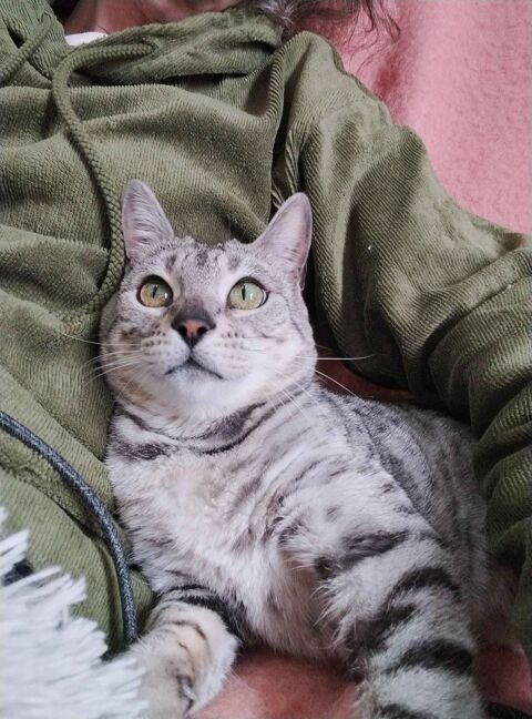 Anya 190 44000 Nantes