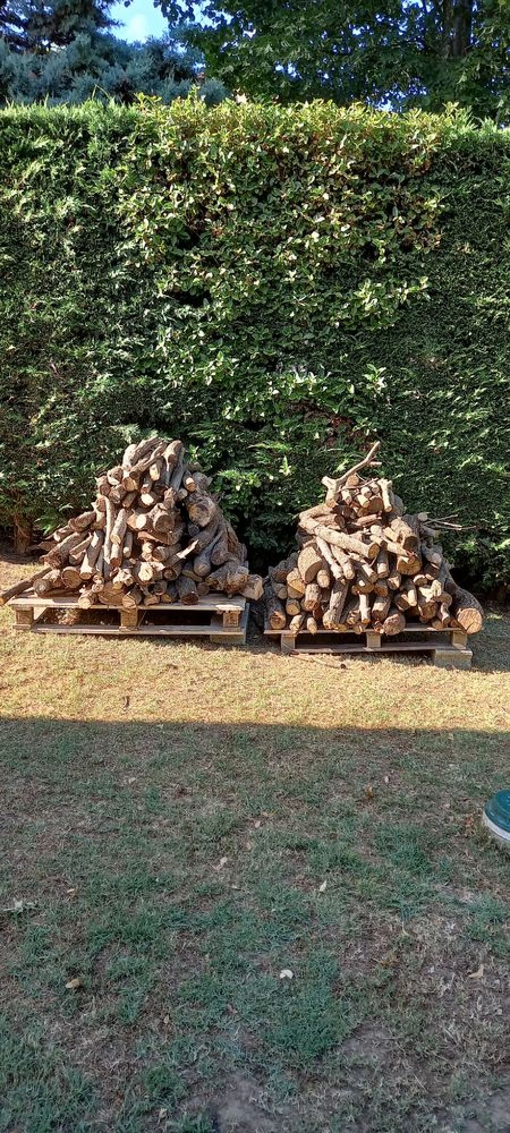 Bois de chauffage Jardin
