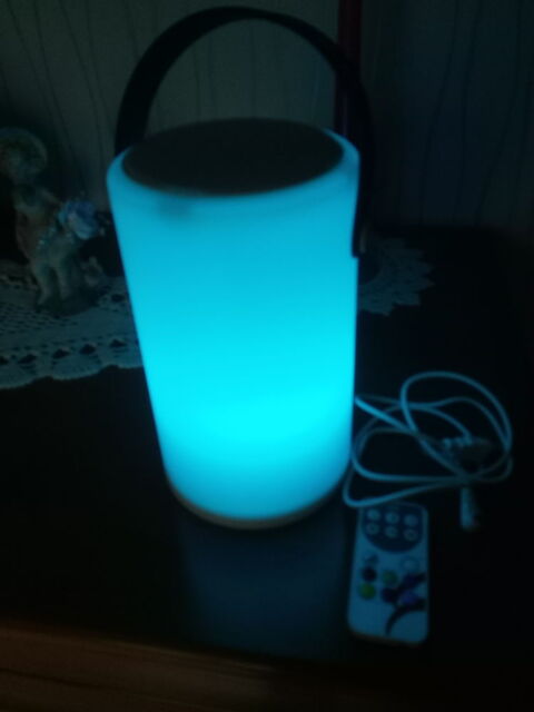 lampe a led  avec enceinte bluetooh 12 R�ding (57)